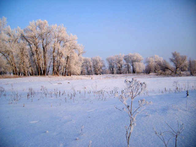 Деревенская Америка