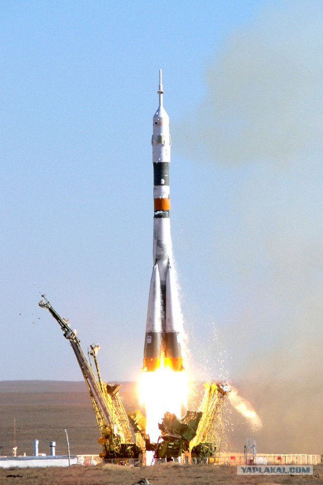 Тамбовский волк тебе товарищ...