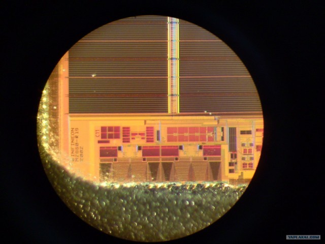 Микрофотография