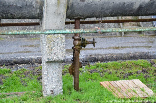 Как выращивают форель в Адлере