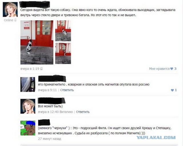 Ужасы и приколы из соцсетей 18+