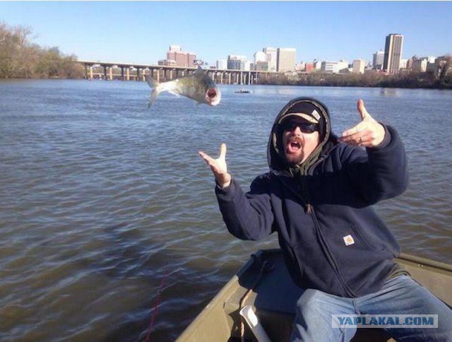 Милость этих фото зашкаливает