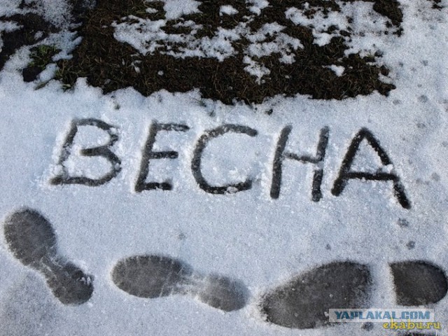 Что за дела, где же наша весна?