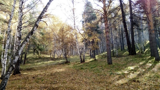 За что я люблю свой край