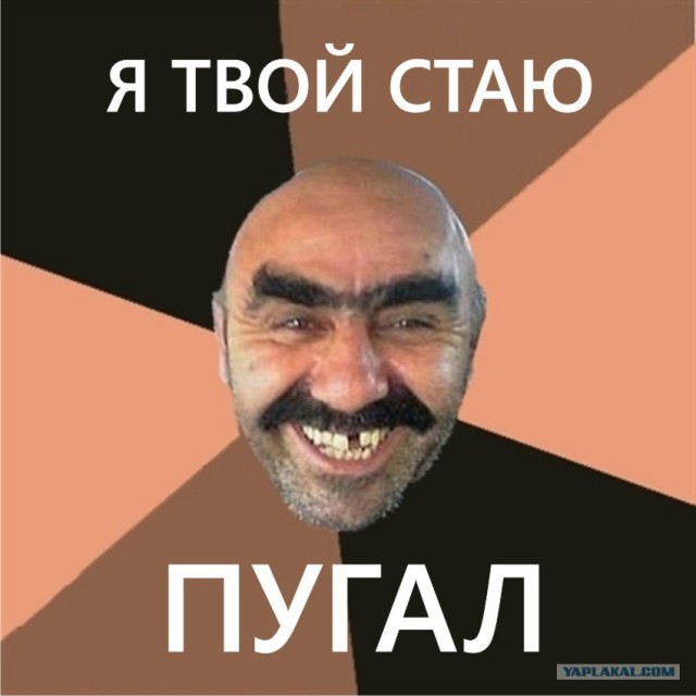 Путин с клювом в халате возглавил журавлиный клин