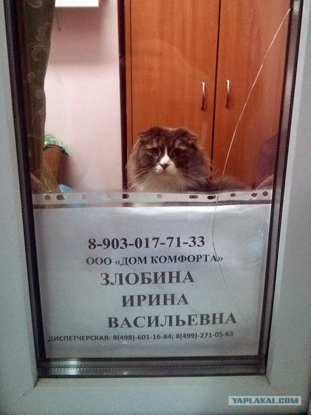 Где то в России