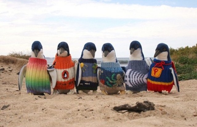 19 потрясающих ситуаций, в которые было бы сложно поверить, если бы не фотосвидетельство