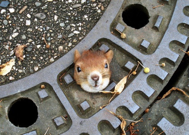 Неприятности случаются