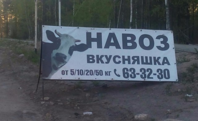 Я понятия не имею, что здесь происходит