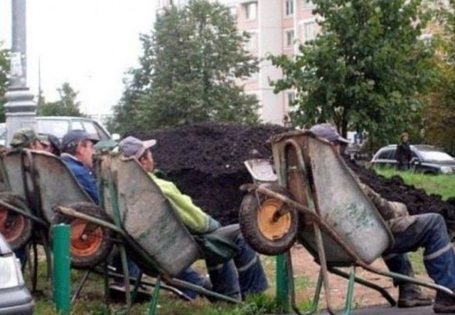 Смешные картинки