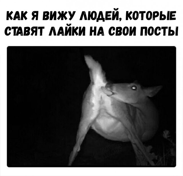 Странный юмор