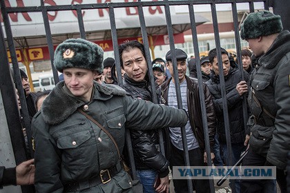 Мигранты: Будем сами искать и наказывать обидчиков.
