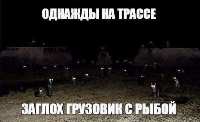Подборка интересных и веселых картинок