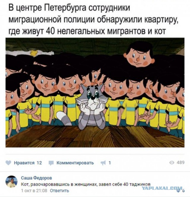 Смешные комментарии из социальных сетей 01.12.2017