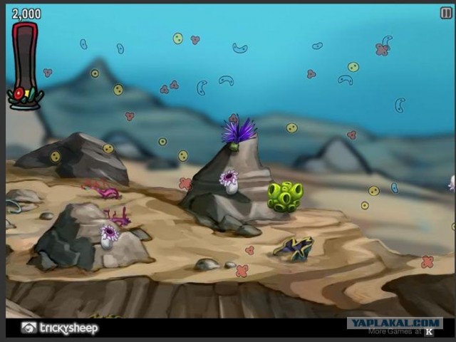 Kaleidoscope Reef