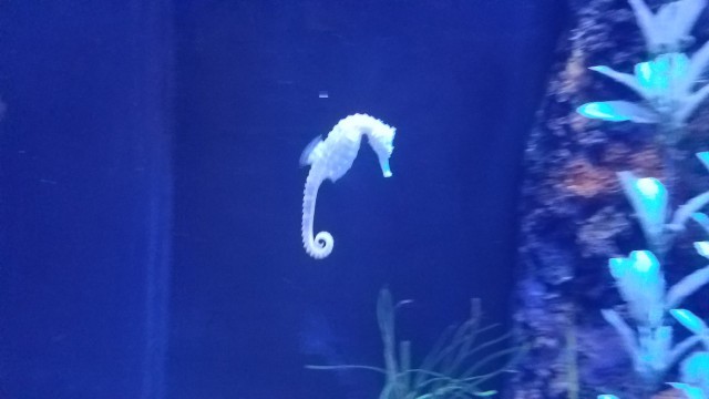 Просто Природа