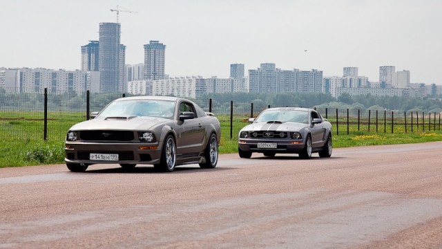 ДР mustang club