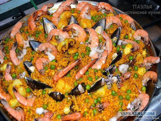 Настоящая Испания изнутри: как готовят паэлью из морепродуктов сами испанцы