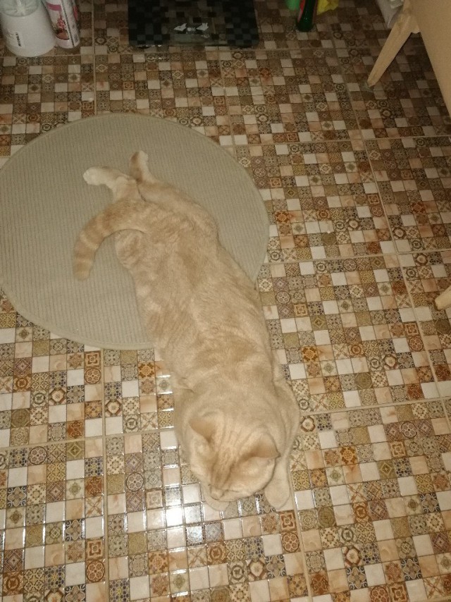 Немного милоты