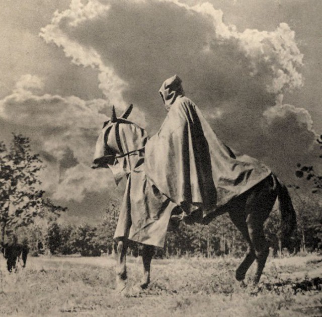 История в фотографиях