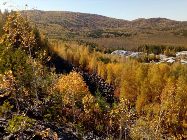 Осенняя тайга