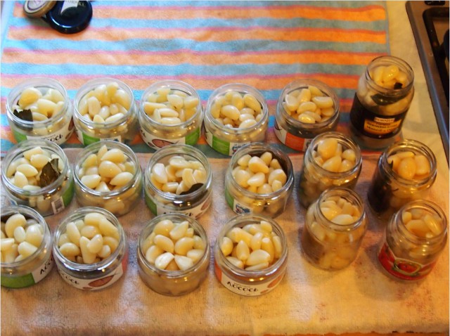 Готовимся к войне с вампирами. Время пришло