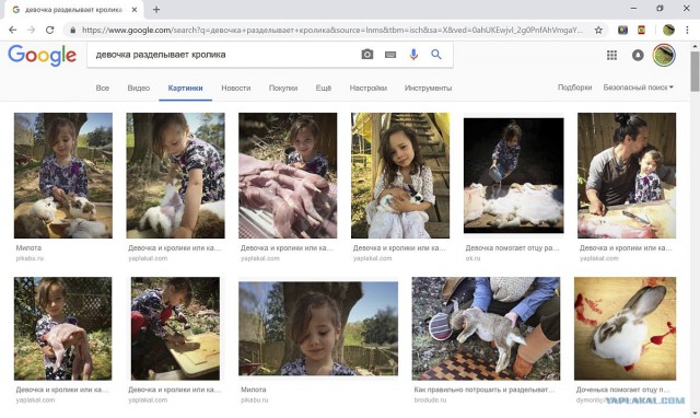 Кролик - рагу и ноги в пакете.