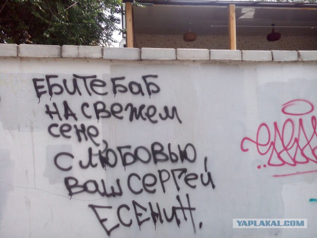 Ушёл за холодцом