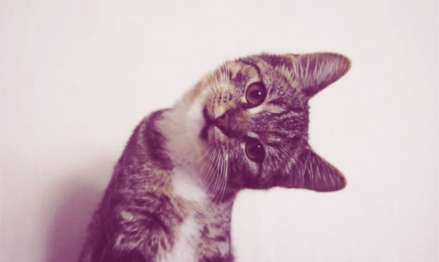 Получилось как всегда...