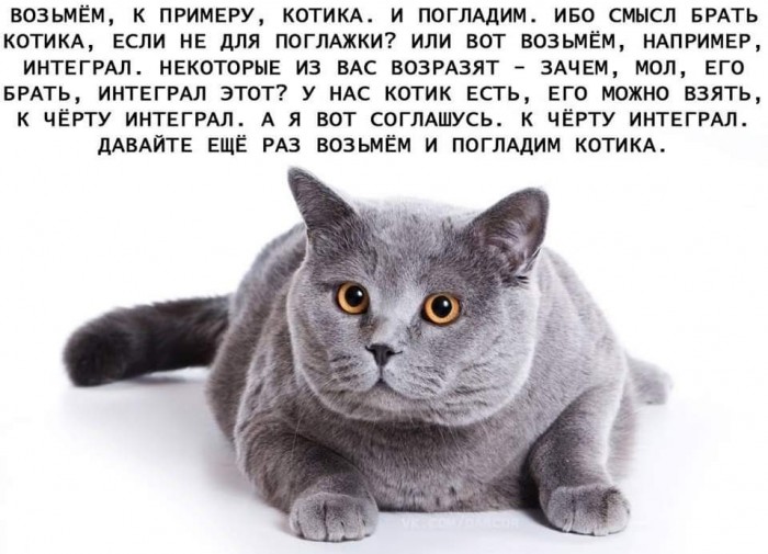 Немного картинок для настроения 11.02.20