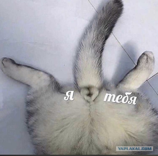Почему я не завожу любовницу