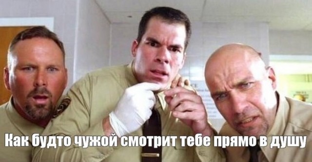Провел эксперимент: два месяца подтирался газетой, чтобы проверить, нужно ли переплачивать за туалетную бумагу