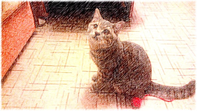 Котофеев пост