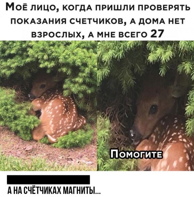 Немного картинок для настроения 88