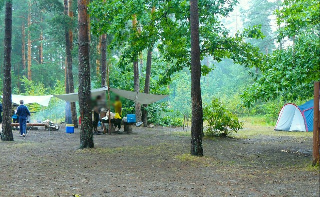 Лучше любого ресторана