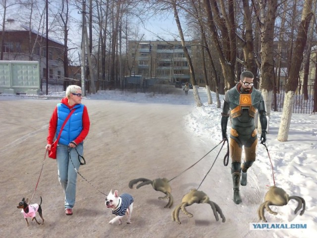 Хедкрабы в твоем городе!