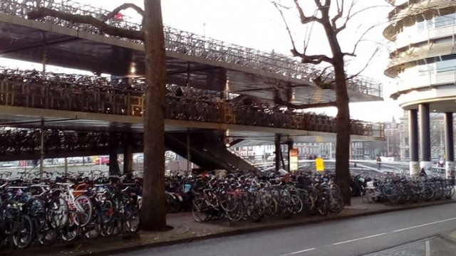 16 деталей жизни голландцев, которые доказывают, что между нашими странами — пропасть