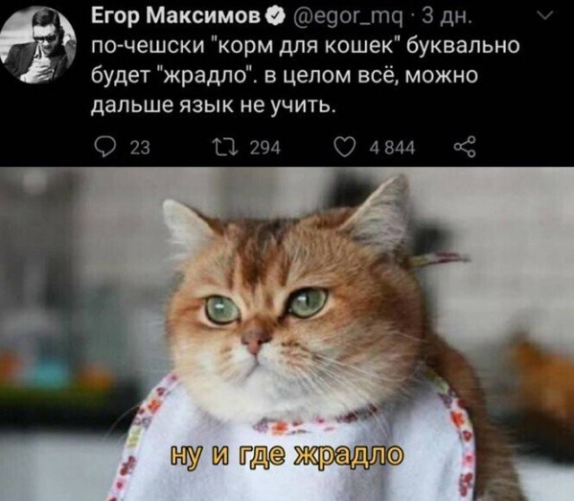 Картинки разные 24.03.2021