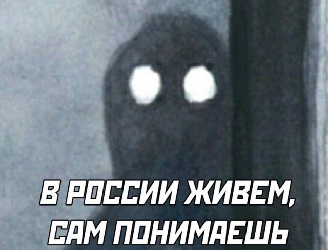 Солевые животные в лифте