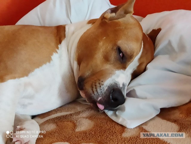 Парень который всегда рядом