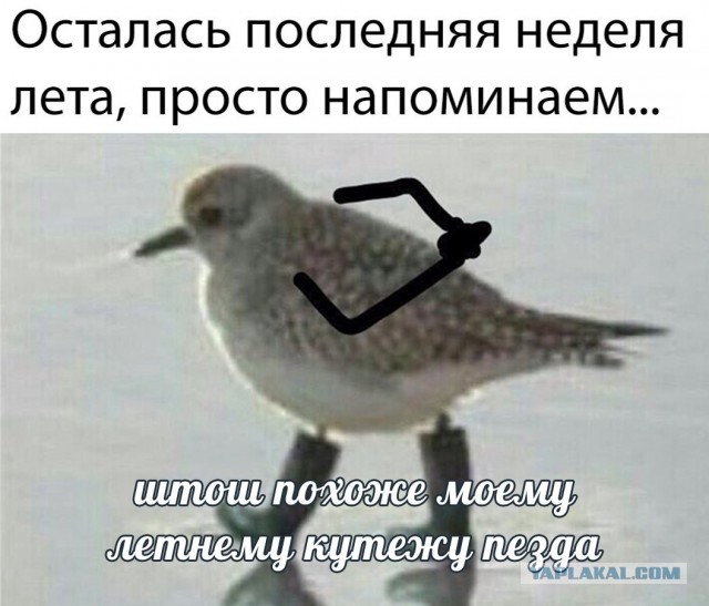 Пятница. И немного слегка пошлых картинок с надписями и без 16+ (27.08)