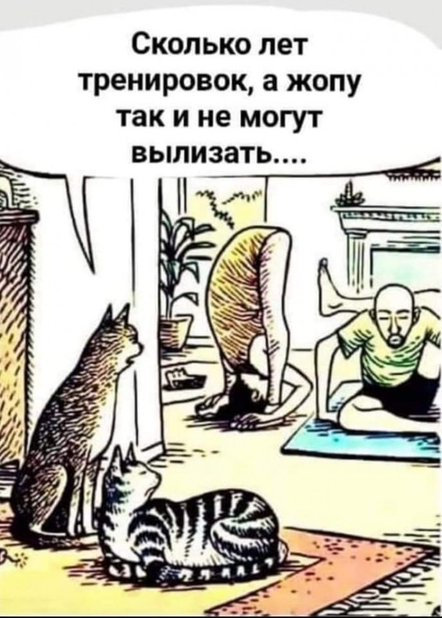 Всяческие картинки 26.11.2021