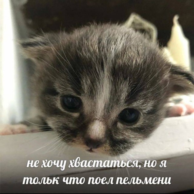Что вы там в Казахстане едите?