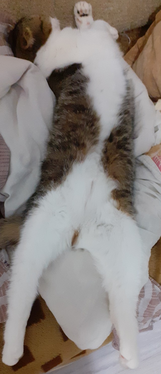 А что, уже вторник?