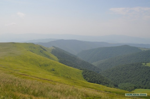 Карпаты 2011