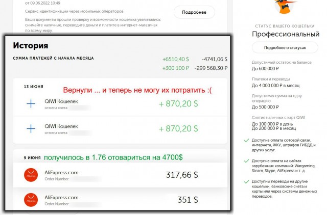 Валюту некуда девать. Это абсолютно идиотская ситуация