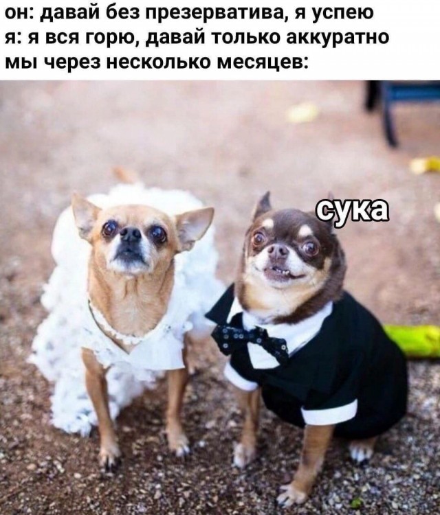 Немного мемчиков. Для взрослых 18+. Часть 4