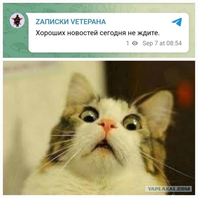 Отступили