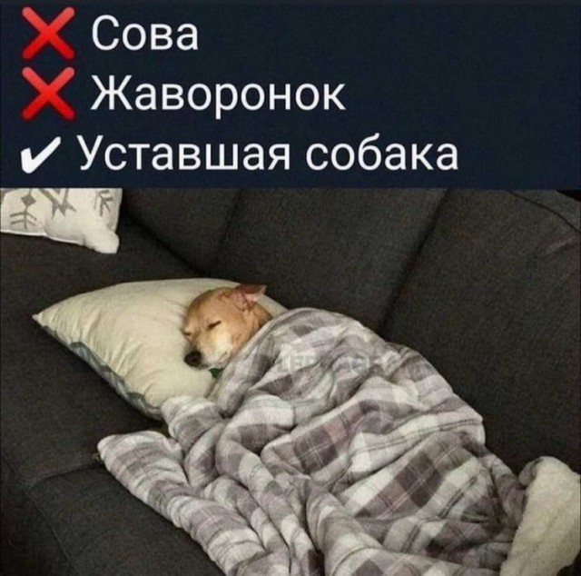 Картинки и мемы для настроения - 123
