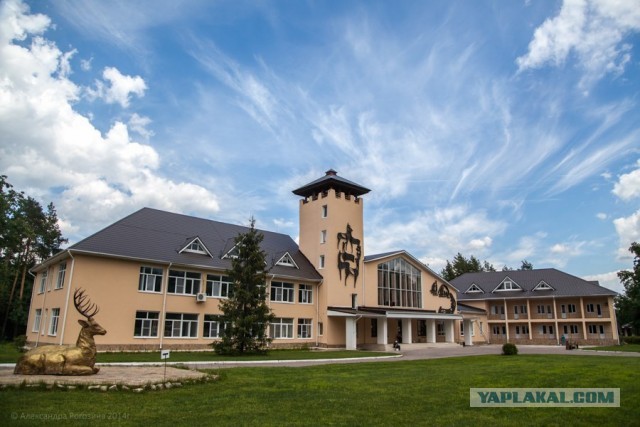 Дорога к бобру